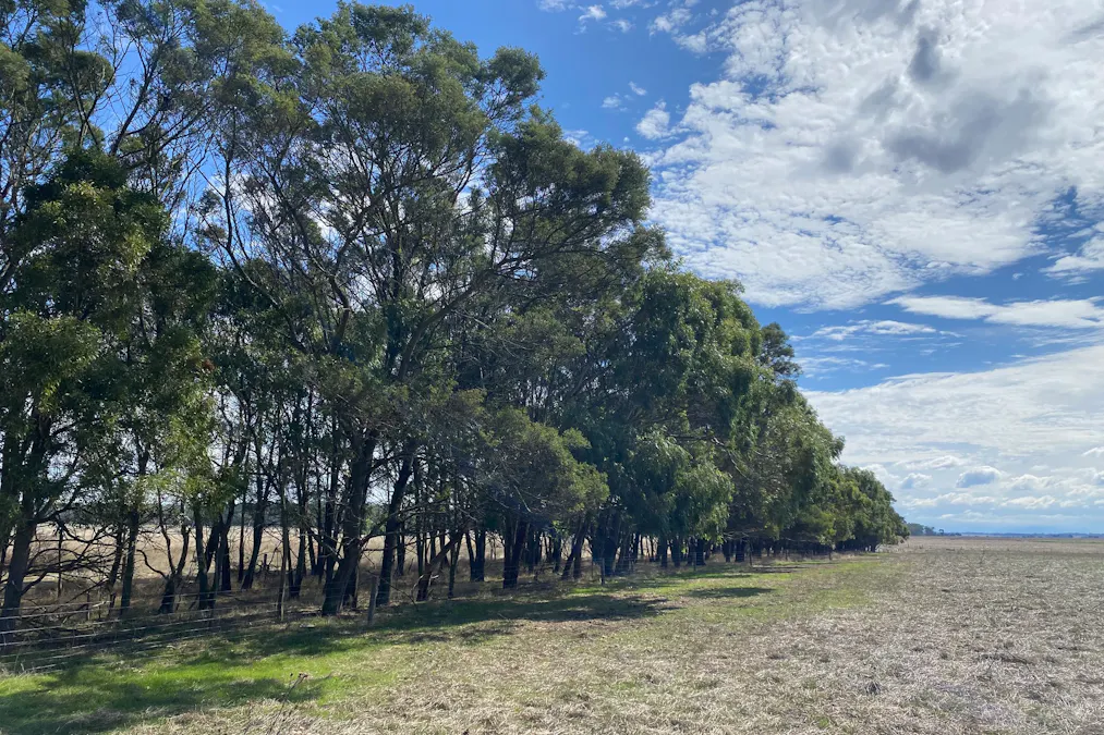 1621 Mount Napier Road, Gazette, VIC, 3289 - Image 25