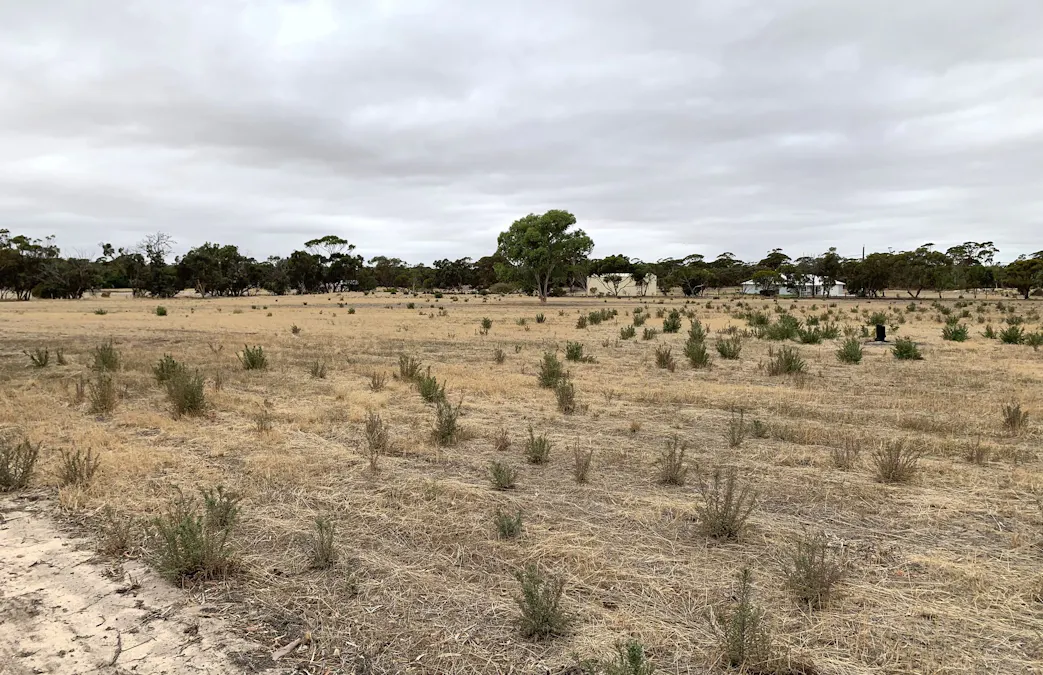 127 Day Street, Kulin, WA, 6365 - Image 7