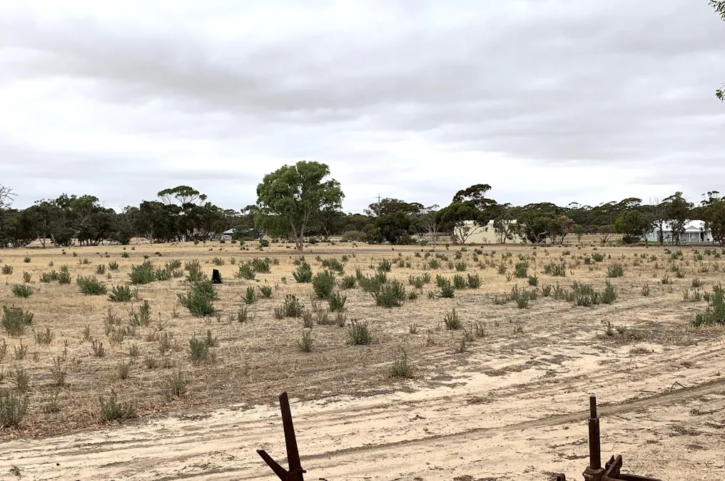 127 Day Street, Kulin, WA, 6365 - Image 8