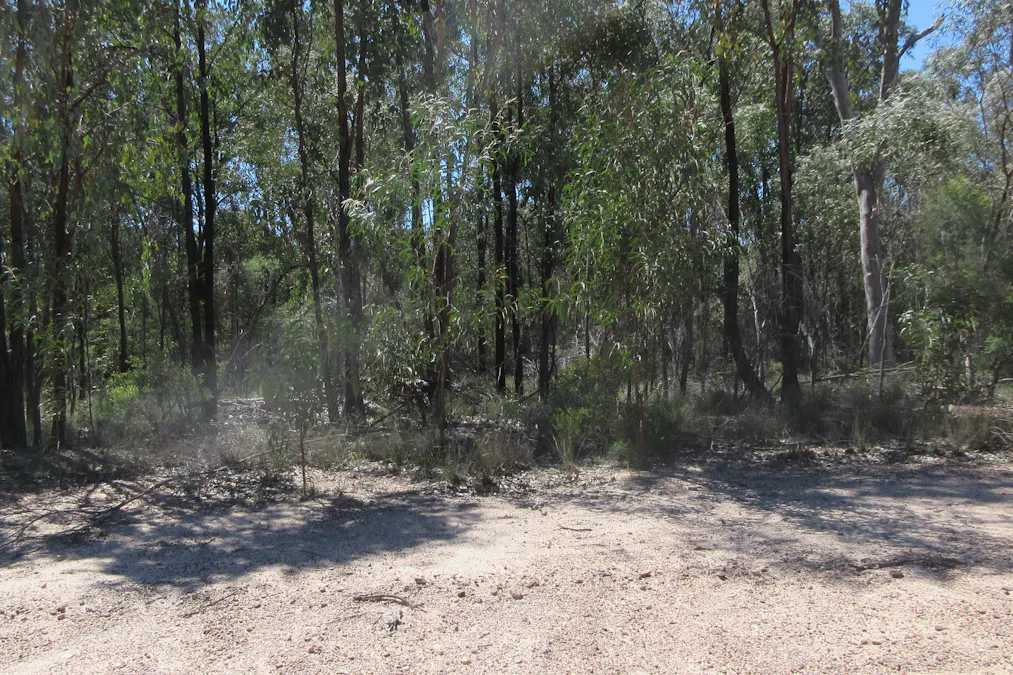 Lot 160 Lucky Road, Tara, QLD, 4421 - Image 2