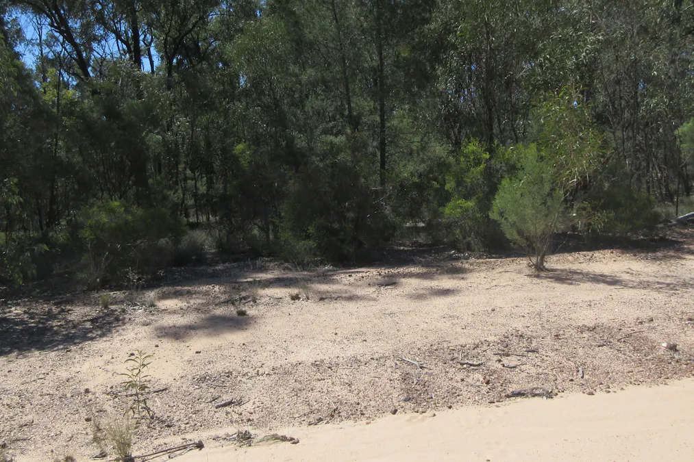 Lot 160 Lucky Road, Tara, QLD, 4421 - Image 3