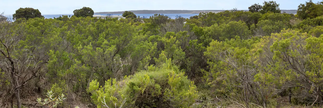 284-286 Island Beach Road, Island Beach, SA, 5222 - Image 14