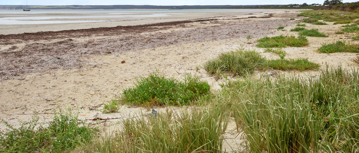 284-286 Island Beach Road, Island Beach, SA, 5222 - Image 10