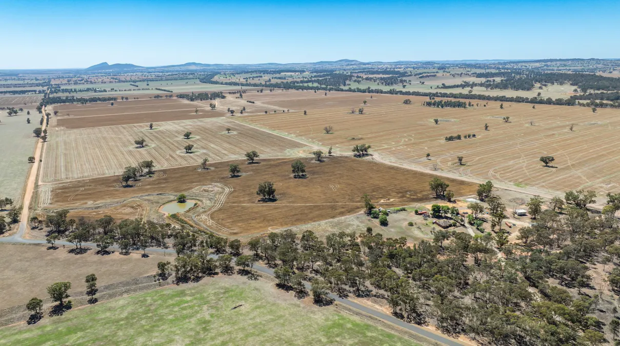 1127 Grubben Road, Henty, NSW, 2658 - Image 16