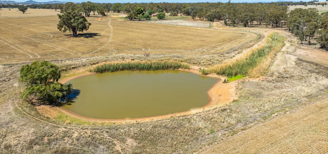 1127 Grubben Road, Henty, NSW, 2658 - Image 14