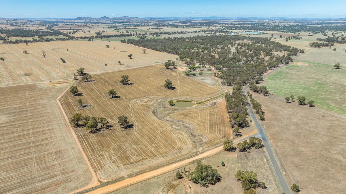 1127 Grubben Road, Henty, NSW, 2658 - Image 15