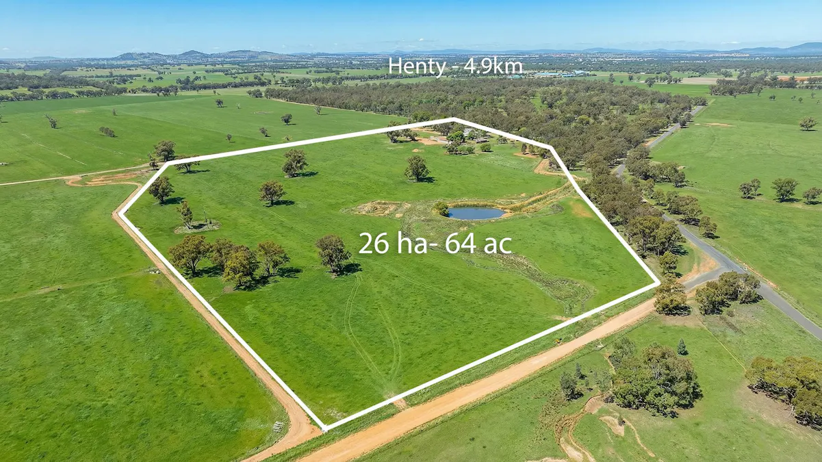 1127 Grubben Road, Henty, NSW, 2658 - Image 2