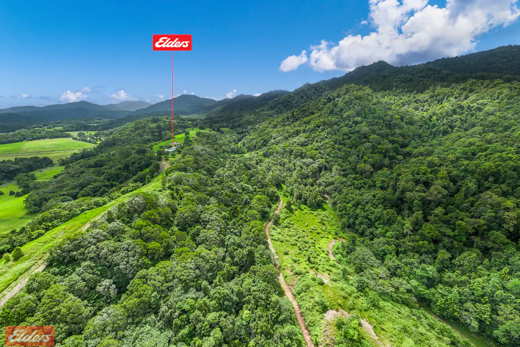 400 Dinner Creek Road, Eubenangee, QLD, 4860 - Image 4