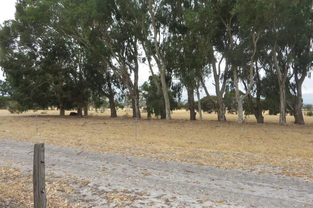 Waroona, WA, 6215 - Image 18