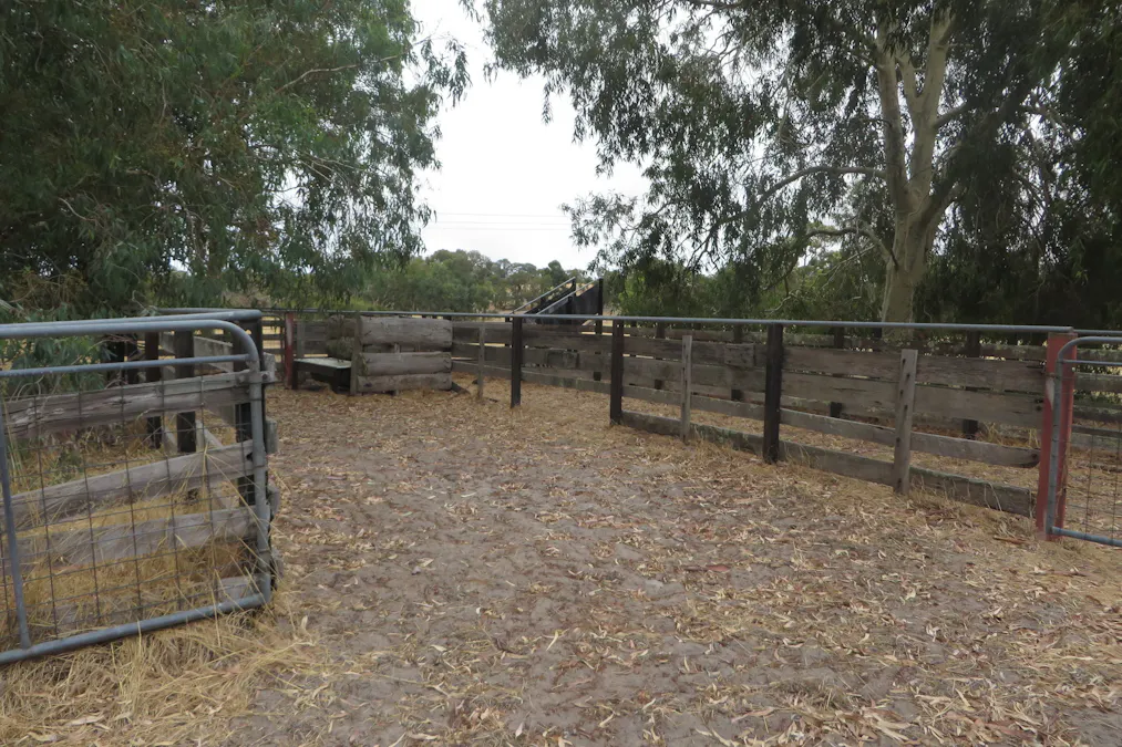 Waroona, WA, 6215 - Image 13