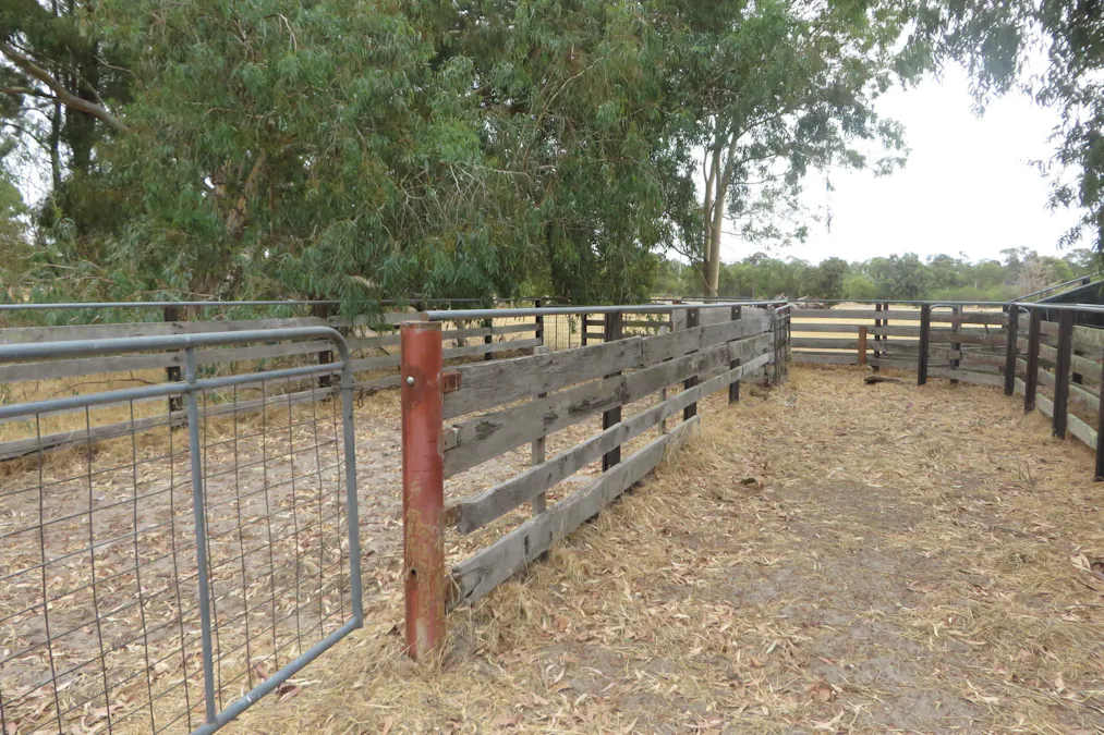 Waroona, WA, 6215 - Image 11