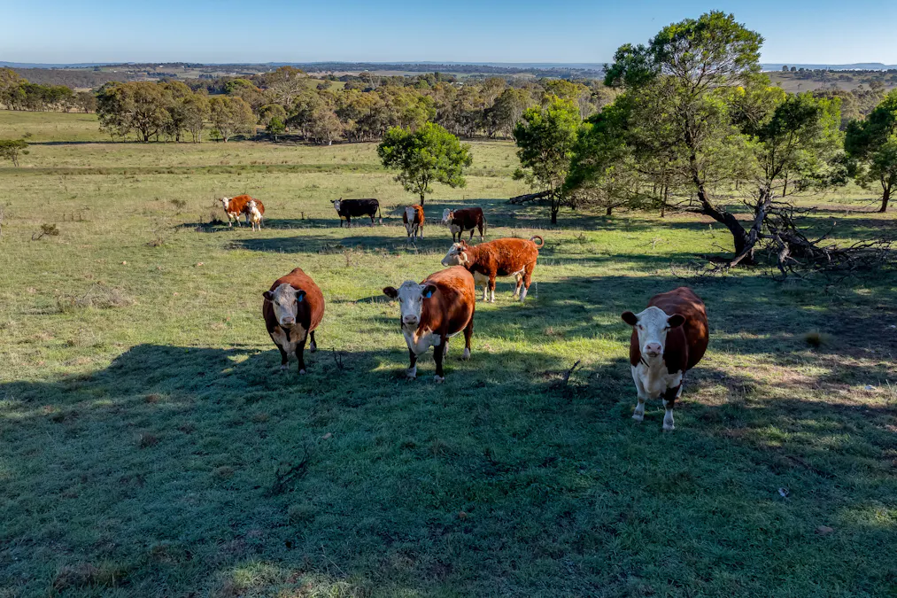 7550 Federal Highway, Goulburn, NSW, 2580 - Image 29