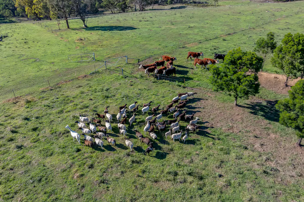 7550 Federal Highway, Goulburn, NSW, 2580 - Image 4