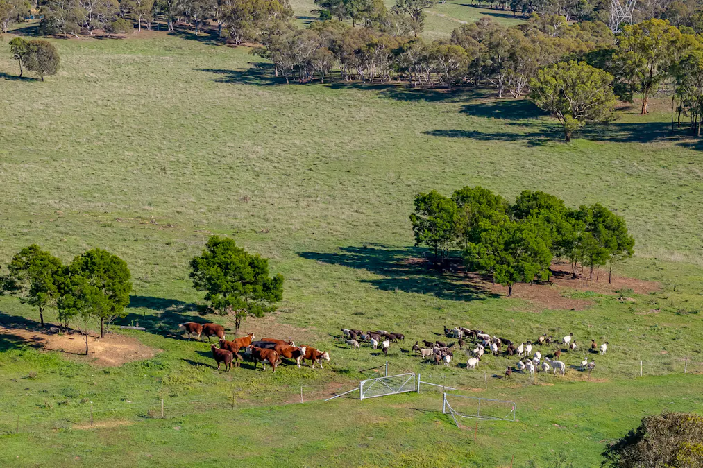 7550 Federal Highway, Goulburn, NSW, 2580 - Image 3