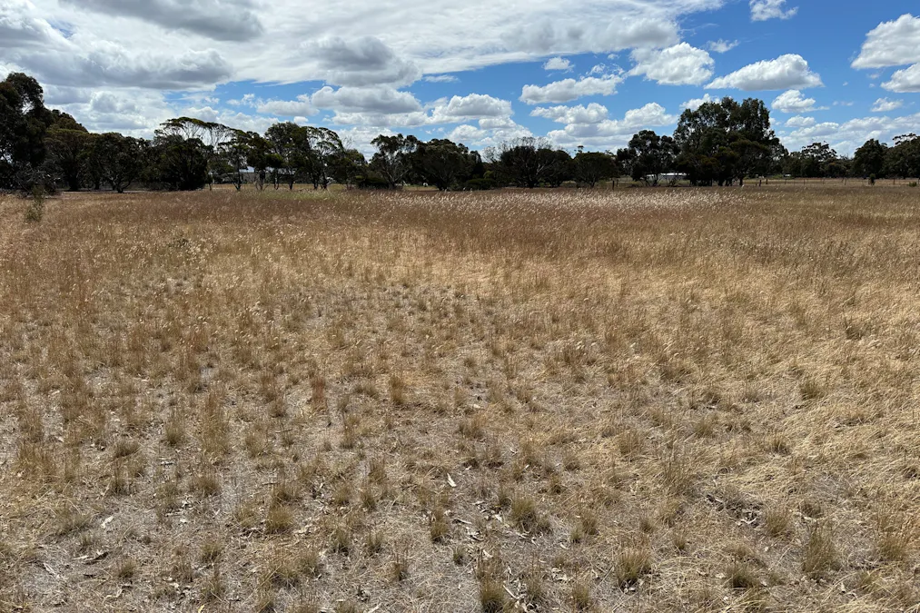 66 Paul Valley Road, Tambellup, WA, 6320 - Image 5