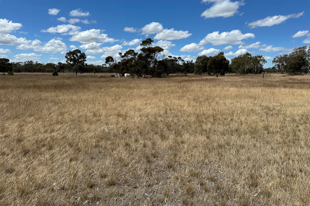 66 Paul Valley Road, Tambellup, WA, 6320 - Image 6