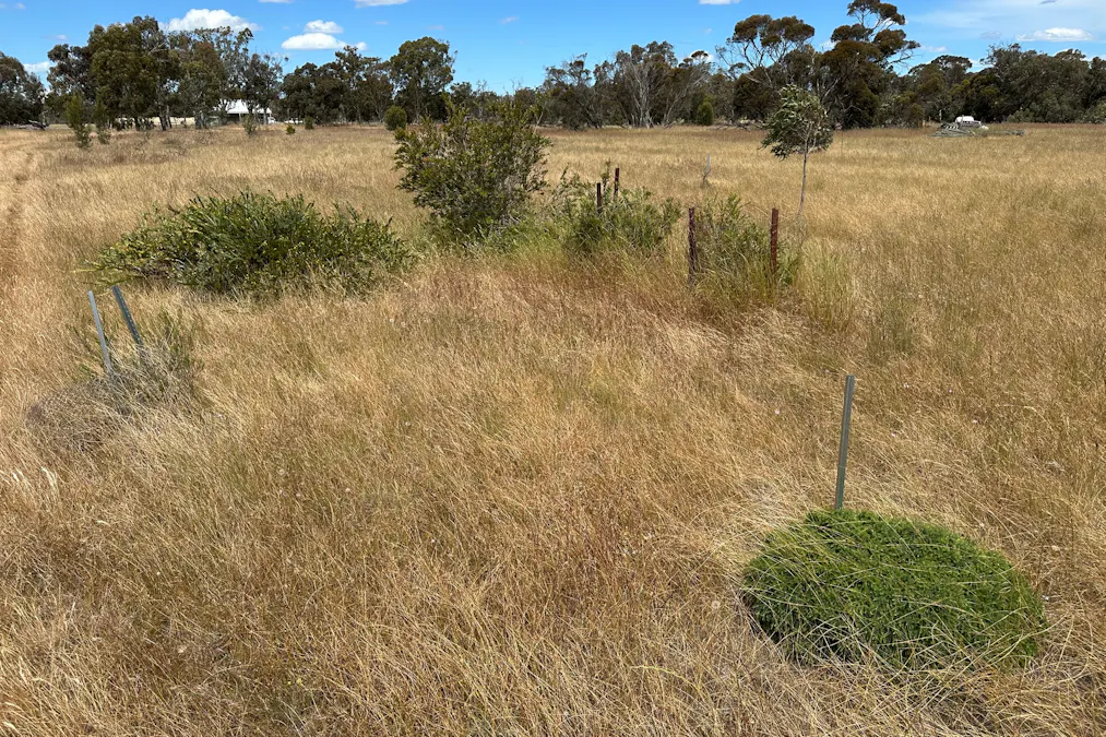 66 Paul Valley Road, Tambellup, WA, 6320 - Image 3