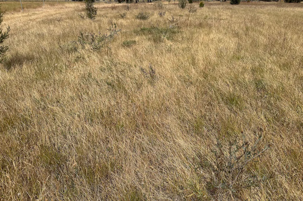 66 Paul Valley Road, Tambellup, WA, 6320 - Image 2