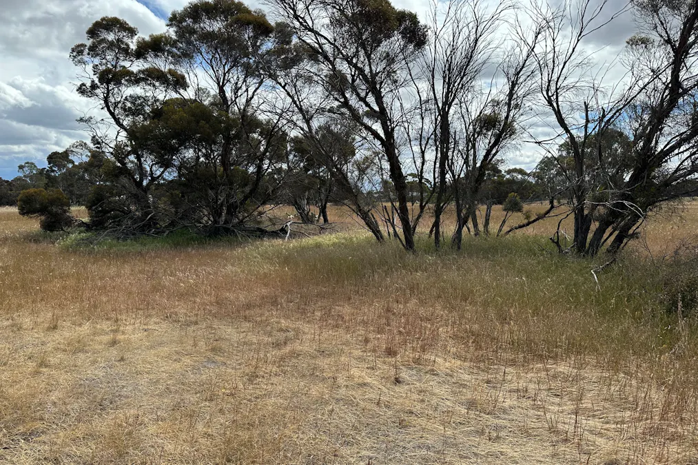 66 Paul Valley Road, Tambellup, WA, 6320 - Image 9