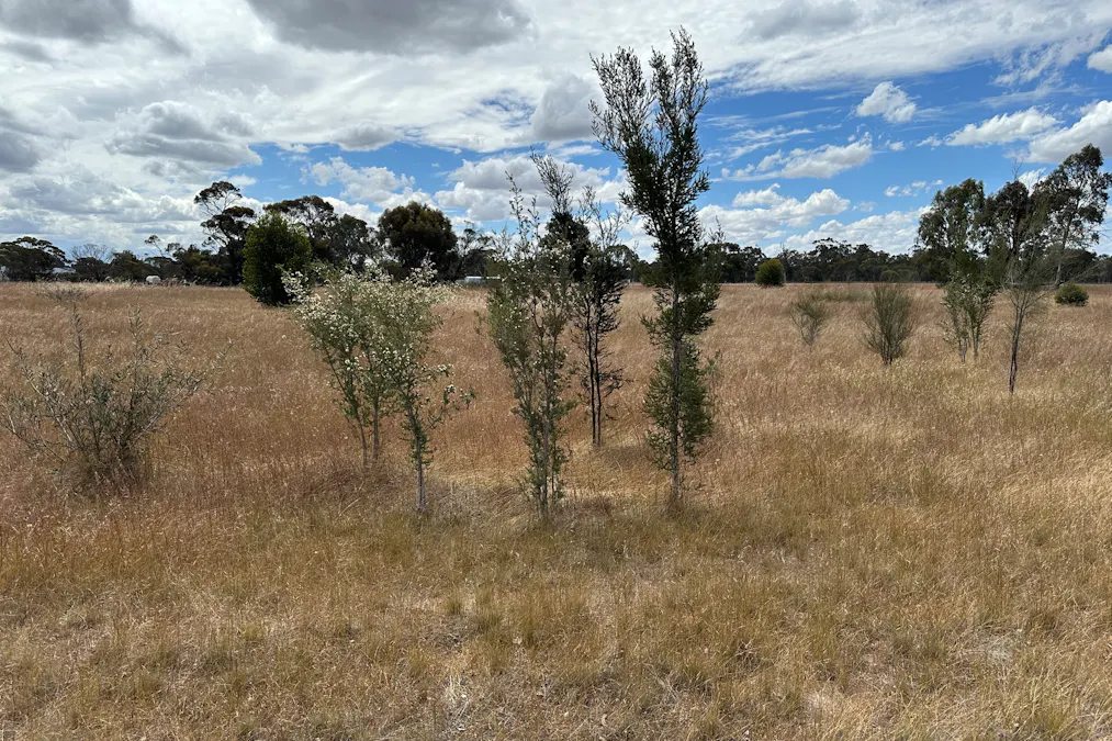 66 Paul Valley Road, Tambellup, WA, 6320 - Image 12