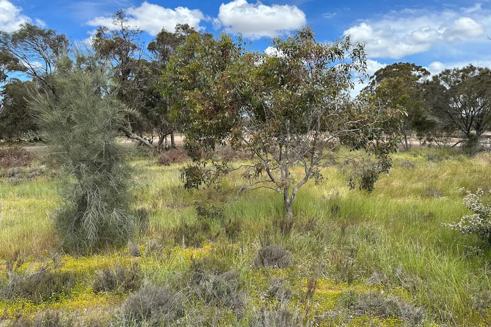 66 Paul Valley Road, Tambellup, WA, 6320 - Image 7