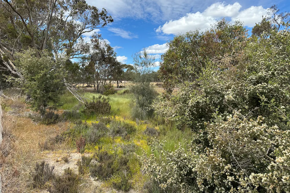 66 Paul Valley Road, Tambellup, WA, 6320 - Image 8