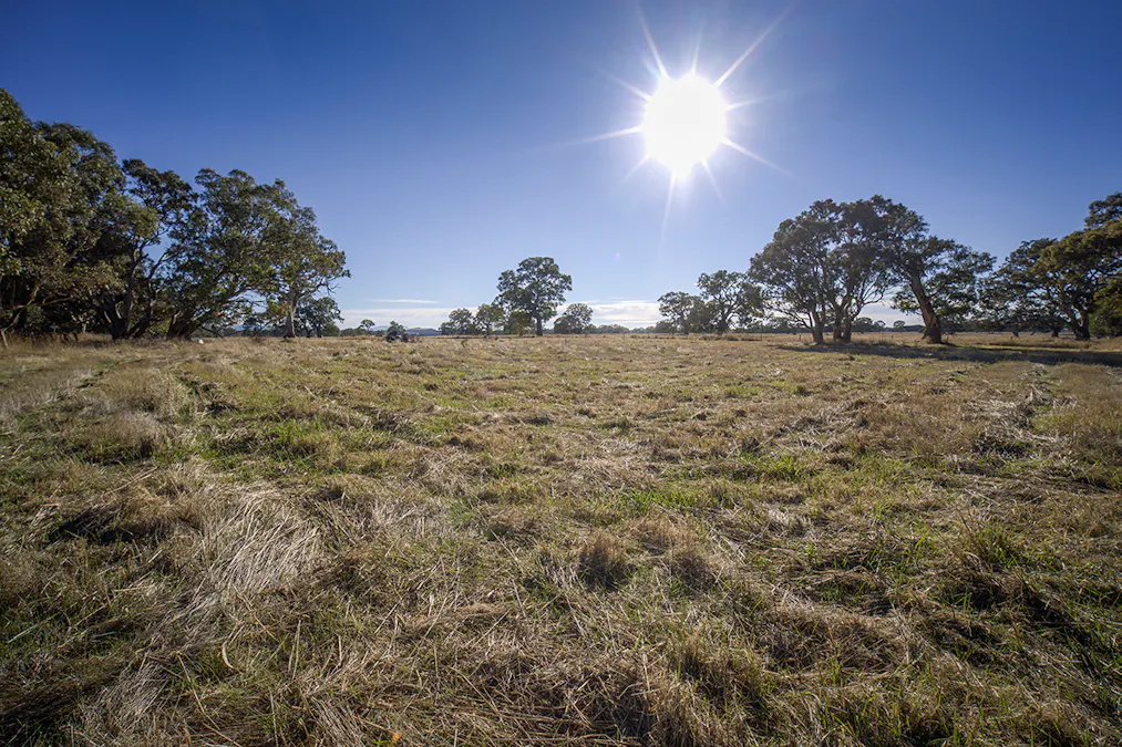 Bellicourt Road, Dunkeld, VIC, 3294 - Image 5
