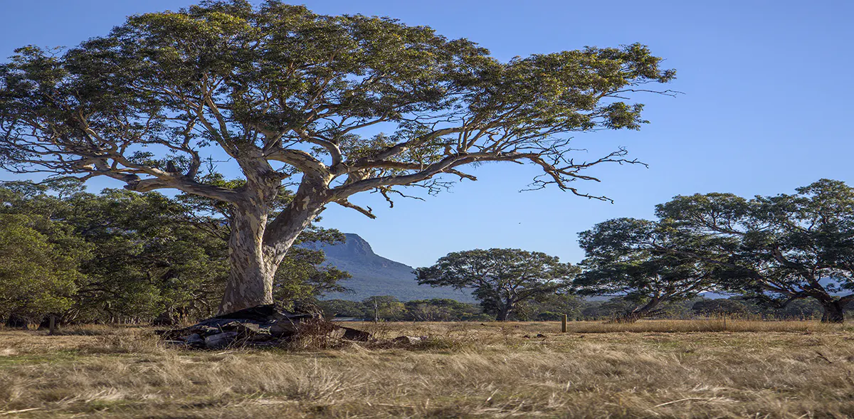 Bellicourt Road, Dunkeld, VIC, 3294 - Image 4