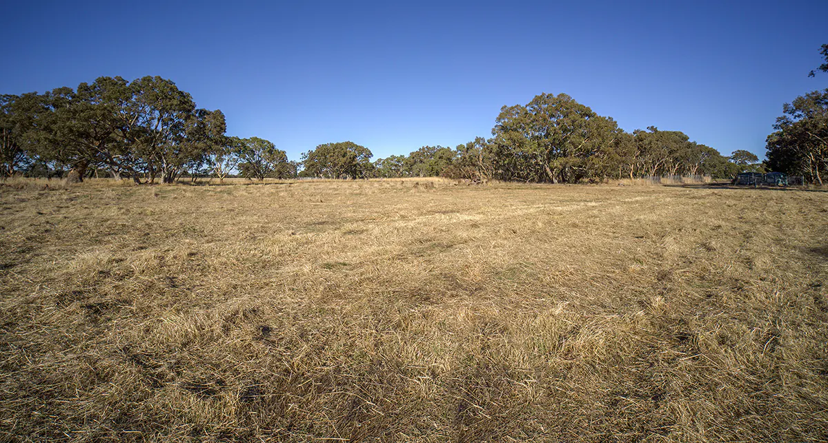 Bellicourt Road, Dunkeld, VIC, 3294 - Image 9