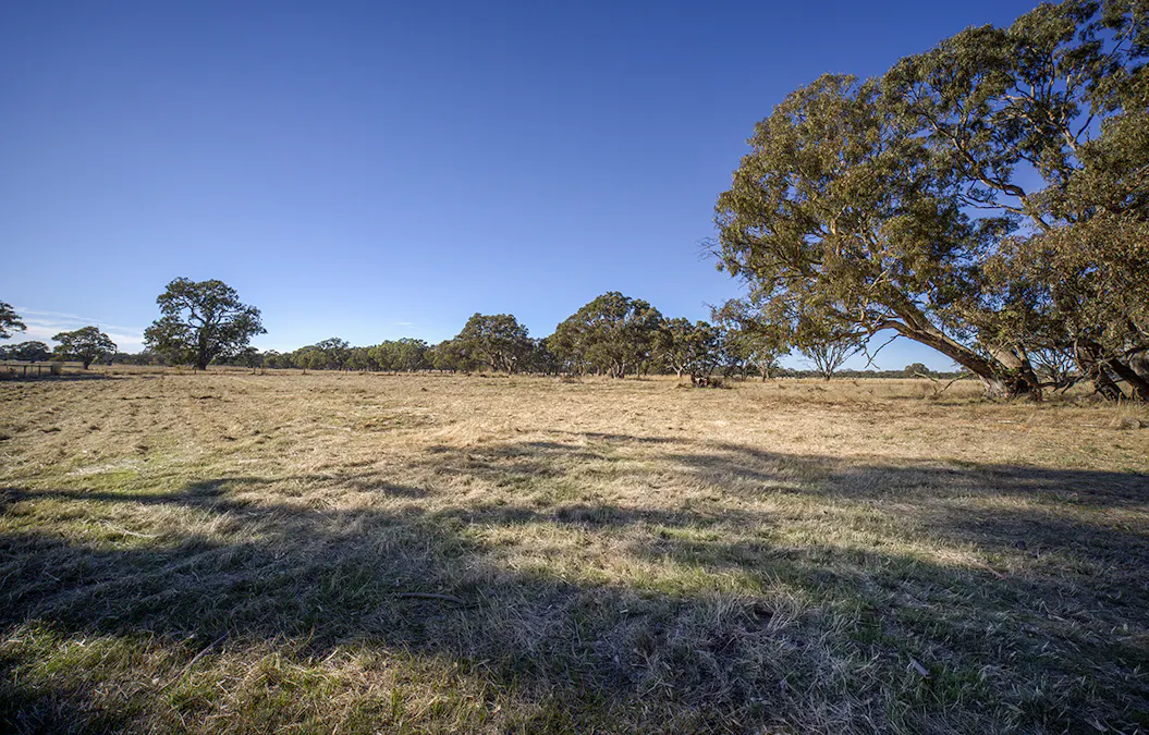 Bellicourt Road, Dunkeld, VIC, 3294 - Image 7