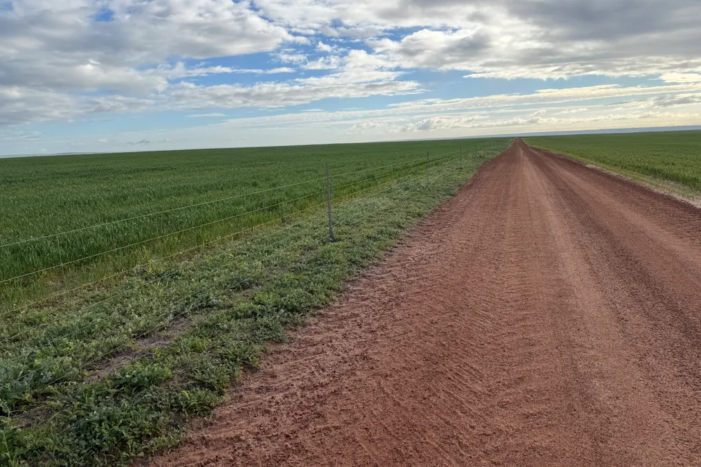 Lot 9683 Walkaway-Nangetty Road, Ellendale, WA, 6532 - Image 20