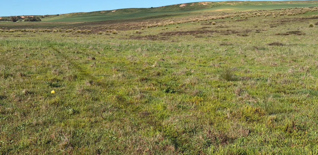 Lot 9683 Walkaway-Nangetty Road, Ellendale, WA, 6532 - Image 18