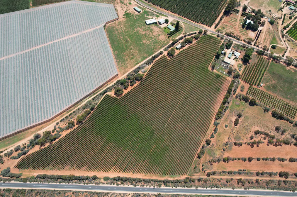 Lot 7 Pike Creek Road, Lyrup, SA, 5343 - Image 2