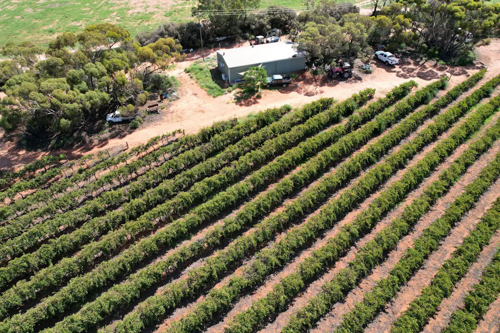 Lot 7 Pike Creek Road, Lyrup, SA, 5343 - Image 4