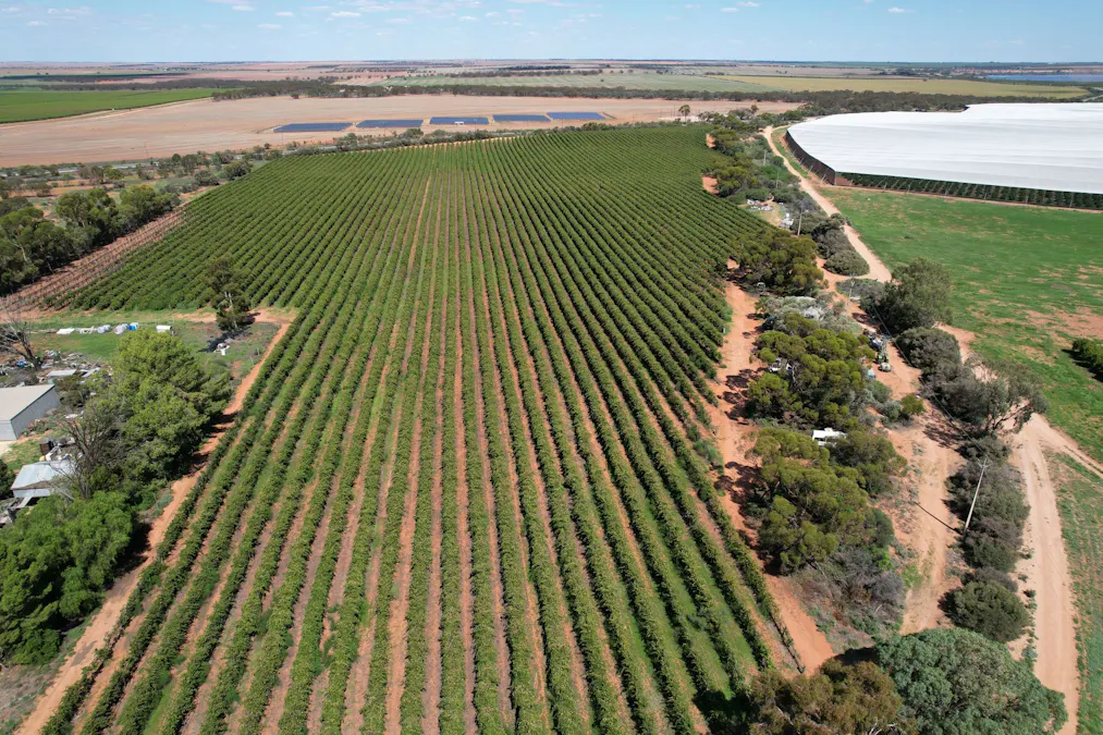 Lot 7 Pike Creek Road, Lyrup, SA, 5343 - Image 7