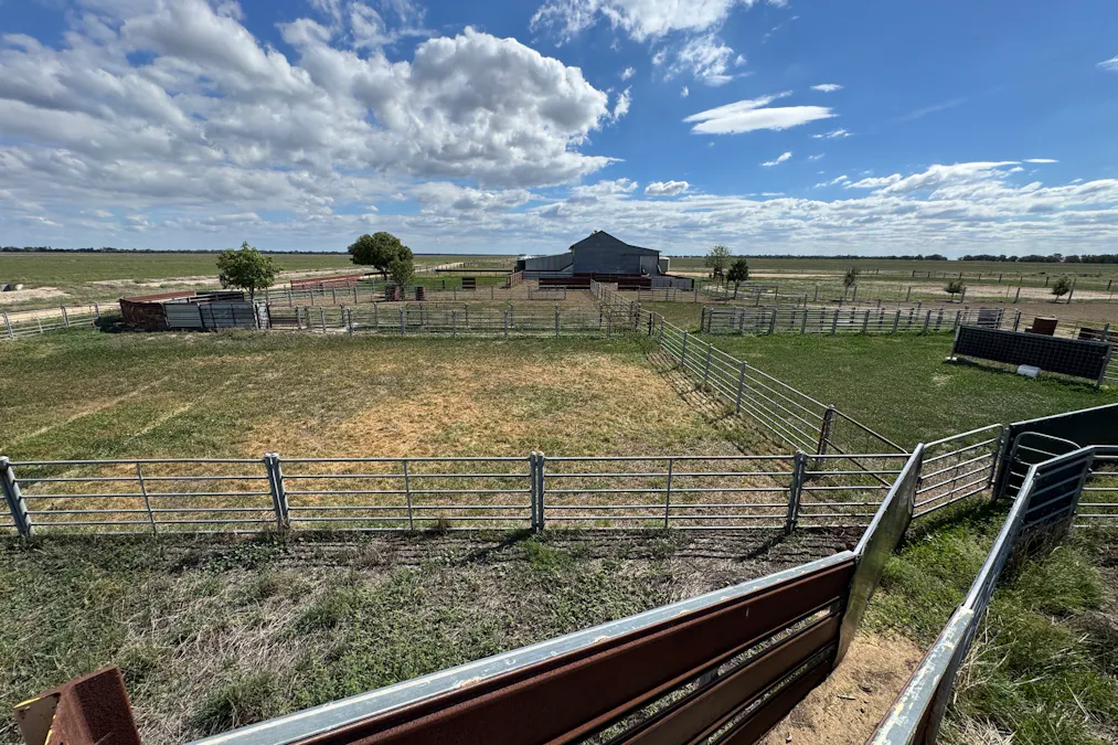 2146 Pretty Pine Road, Deniliquin, NSW, 2710 - Image 1