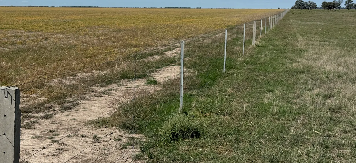 2146 Pretty Pine Road, Deniliquin, NSW, 2710 - Image 6