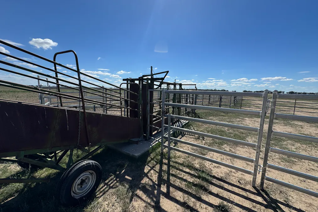 2146 Pretty Pine Road, Deniliquin, NSW, 2710 - Image 11