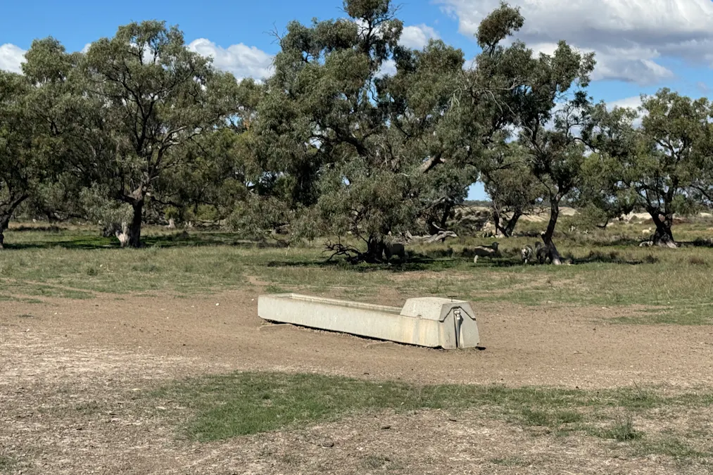 2146 Pretty Pine Road, Deniliquin, NSW, 2710 - Image 13