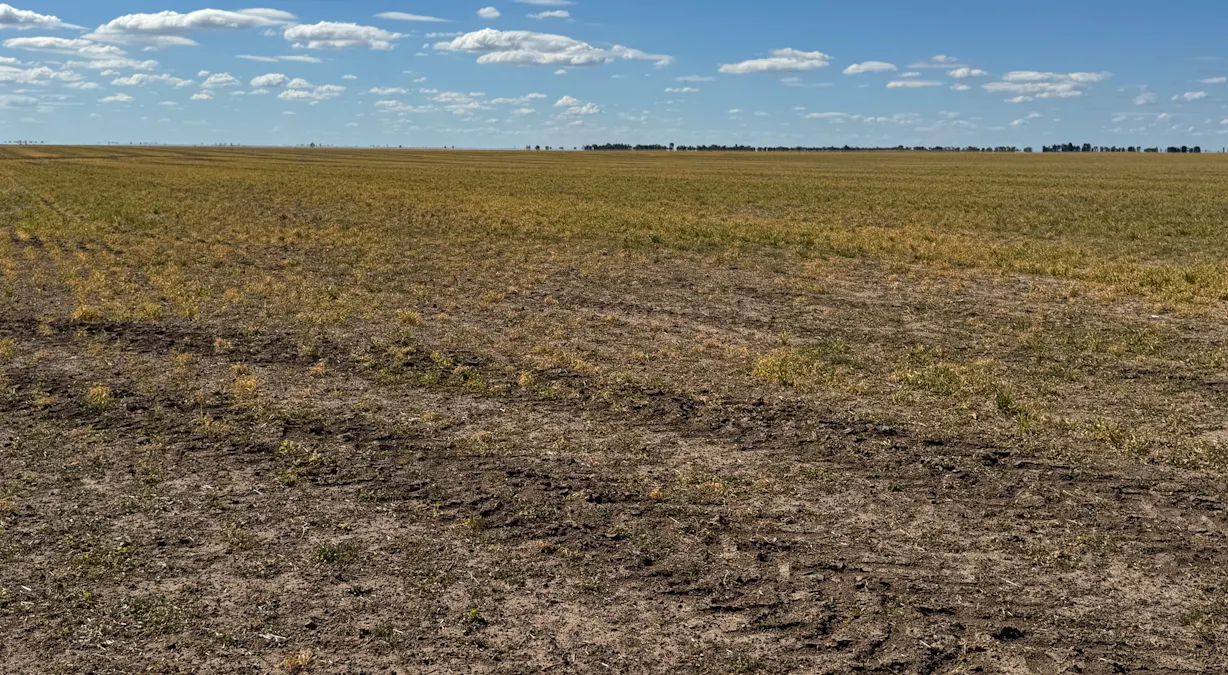 2146 Pretty Pine Road, Deniliquin, NSW, 2710 - Image 17