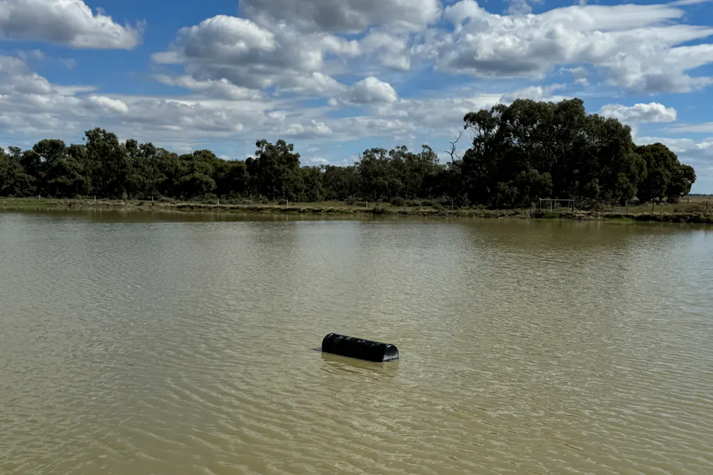 2146 Pretty Pine Road, Deniliquin, NSW, 2710 - Image 21