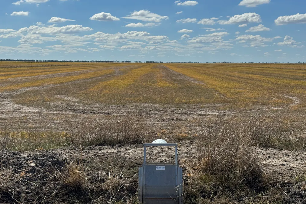 2146 Pretty Pine Road, Deniliquin, NSW, 2710 - Image 24