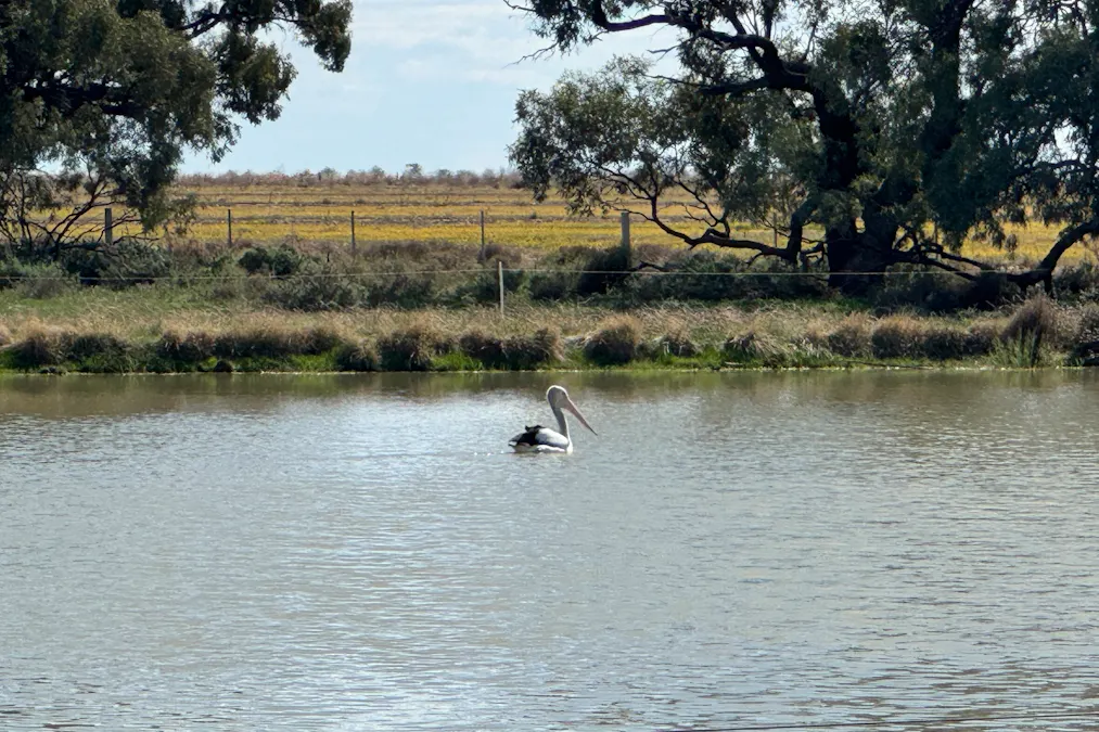 2146 Pretty Pine Road, Deniliquin, NSW, 2710 - Image 26