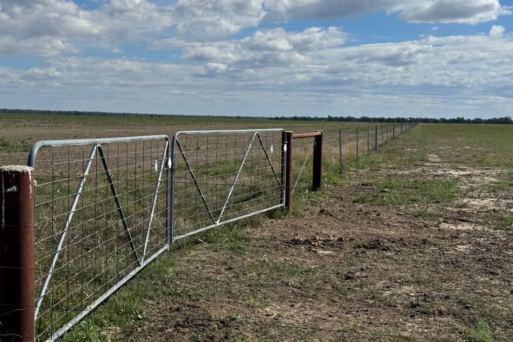 2146 Pretty Pine Road, Deniliquin, NSW, 2710 - Image 28