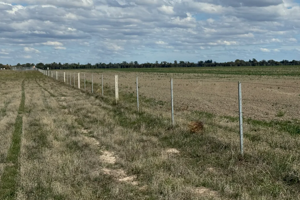 2146 Pretty Pine Road, Deniliquin, NSW, 2710 - Image 29