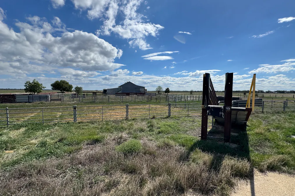 2146 Pretty Pine Road, Deniliquin, NSW, 2710 - Image 31