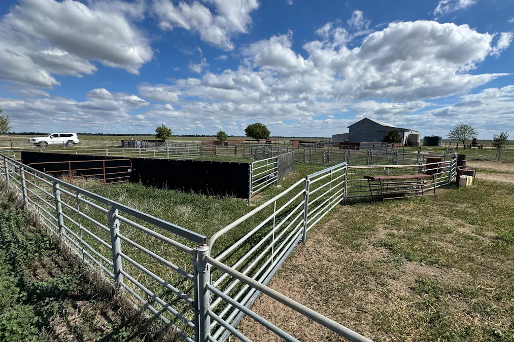 2146 Pretty Pine Road, Deniliquin, NSW, 2710 - Image 32