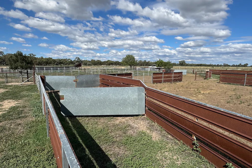 2146 Pretty Pine Road, Deniliquin, NSW, 2710 - Image 33