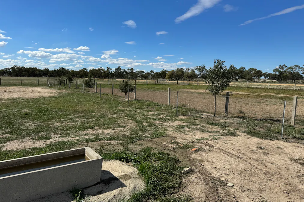 2146 Pretty Pine Road, Deniliquin, NSW, 2710 - Image 34