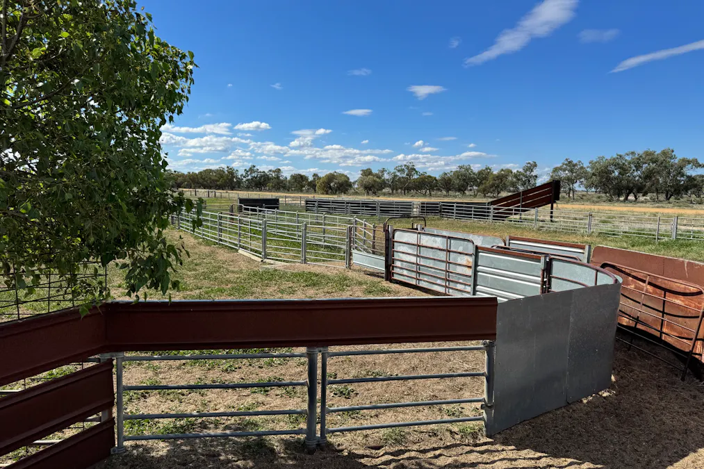 2146 Pretty Pine Road, Deniliquin, NSW, 2710 - Image 35